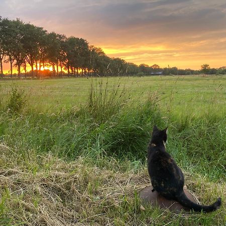 Kindvriendelijk Appartement De Hooge Stukken Onder De Rook Van Groningen Eelde-Paterswolde Exteriér fotografie